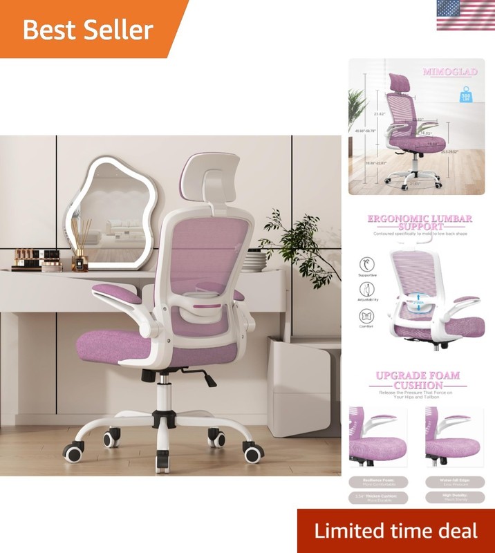 Office Chair, High Back Ergonomic Desk Chair with Adjustable Lumbar Support a...