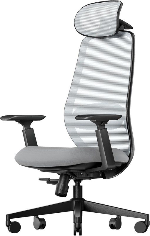 EC200 Ergonomic Office Chair High-Back Mesh W/ Lumbar Support & Adjustable Seat