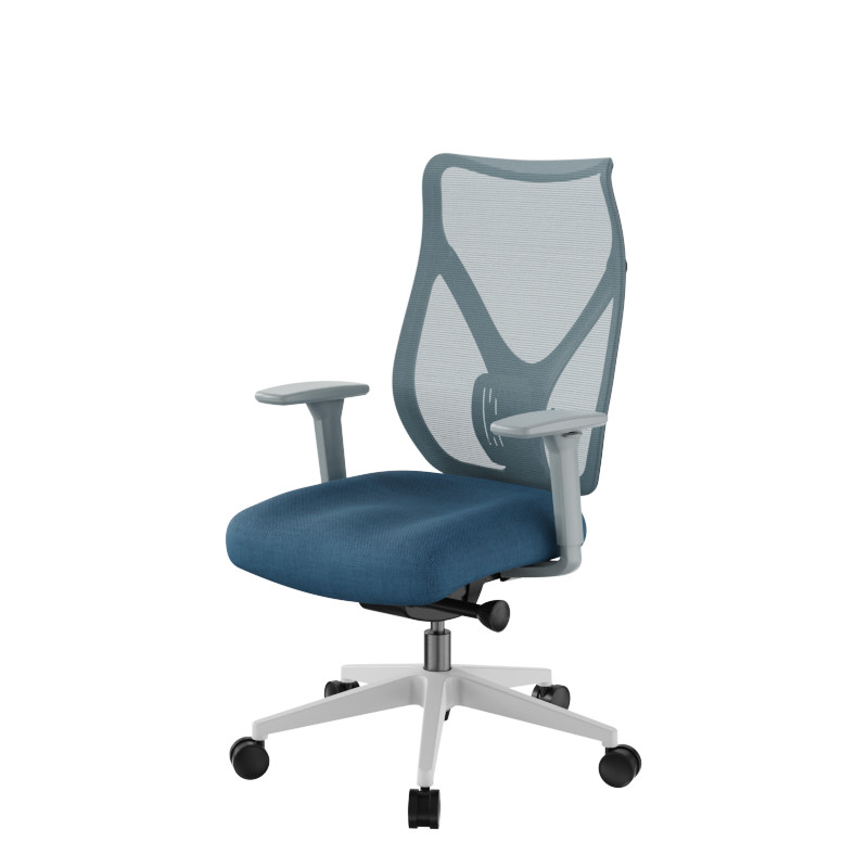 Ergonomic Office Chair, Fully Loaded