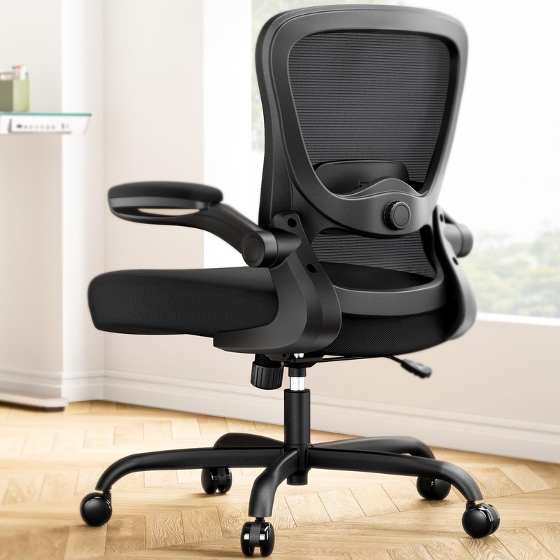 Marsail Ergonomic Office Chair: Ergonomic Desk Chair with Adjustable 3D Lumba...