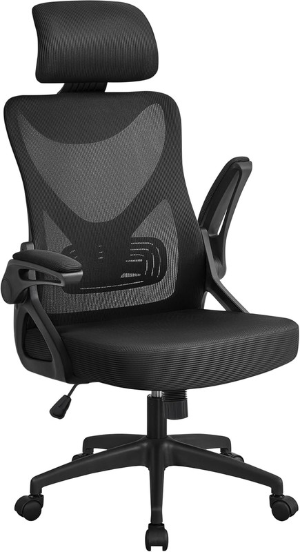 Ergonomic Office Chair, High Back Desk Chair with Headrest and Flip-Up Armrest L