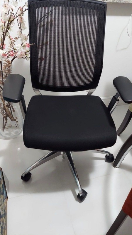 Premium Ergonomic Chair