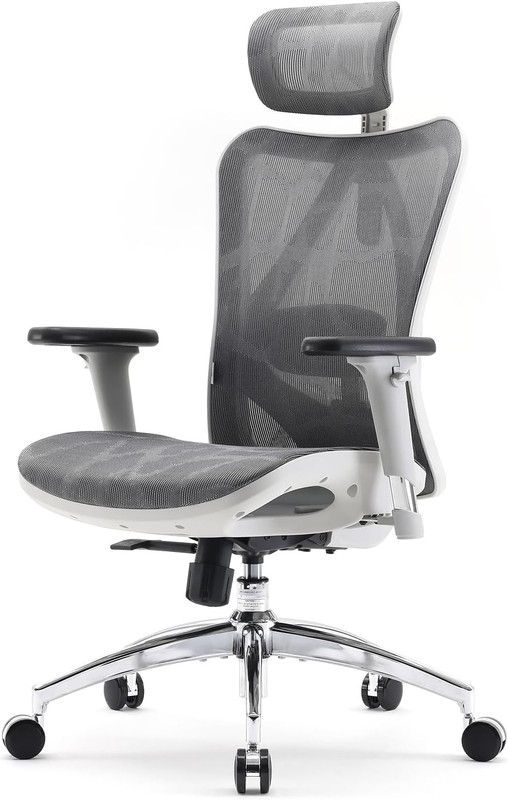 M57 Ergonomic Mesh Office Chair, High Back Home Desk Chair with 3D Armrests, Lum