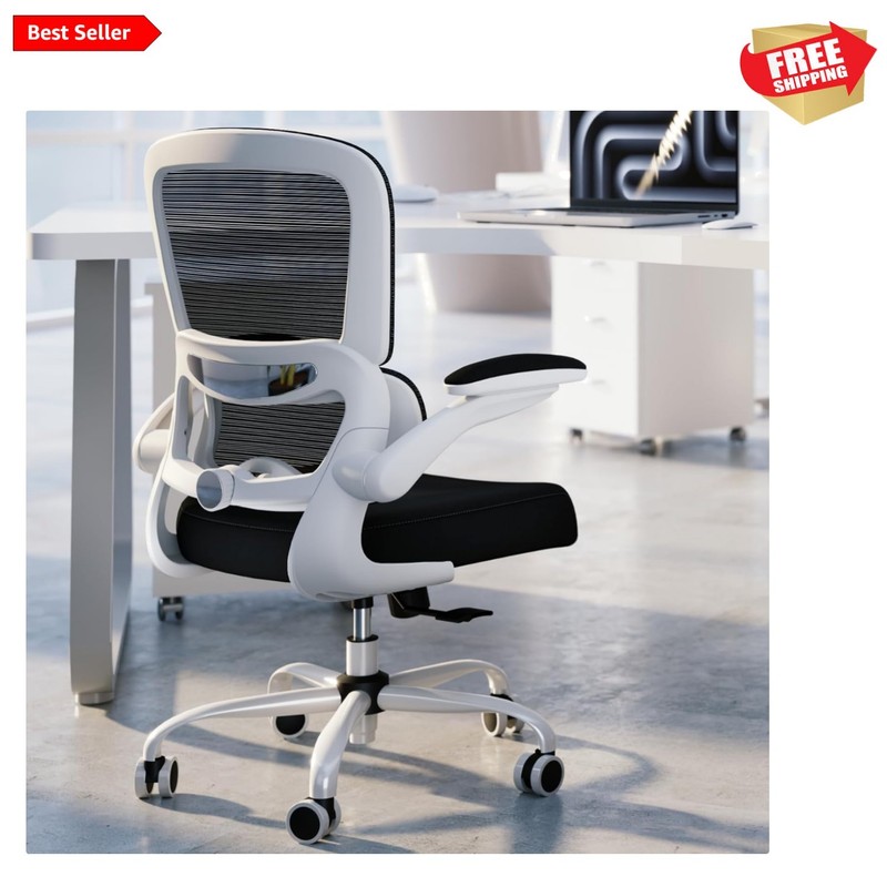 Office Chair - Ergonomic Desk Chair with Adjustable Lumbar Support, Mesh Comp...