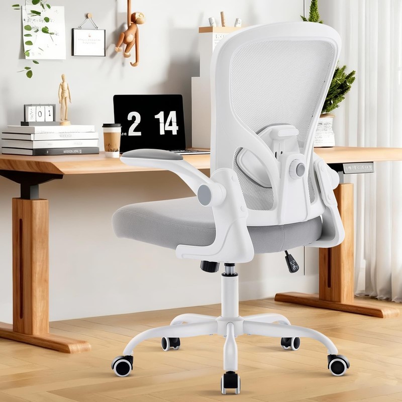 Ergonomic Office Chair, Computer Desk Chair with Adjustable Lumbar and Flip-u…