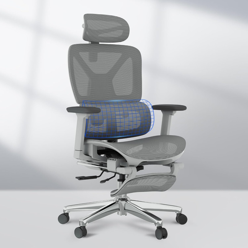 Ergox Premium Ergonomic Office Chair with Footrest- Adjustable 3D Armrests, Dyna