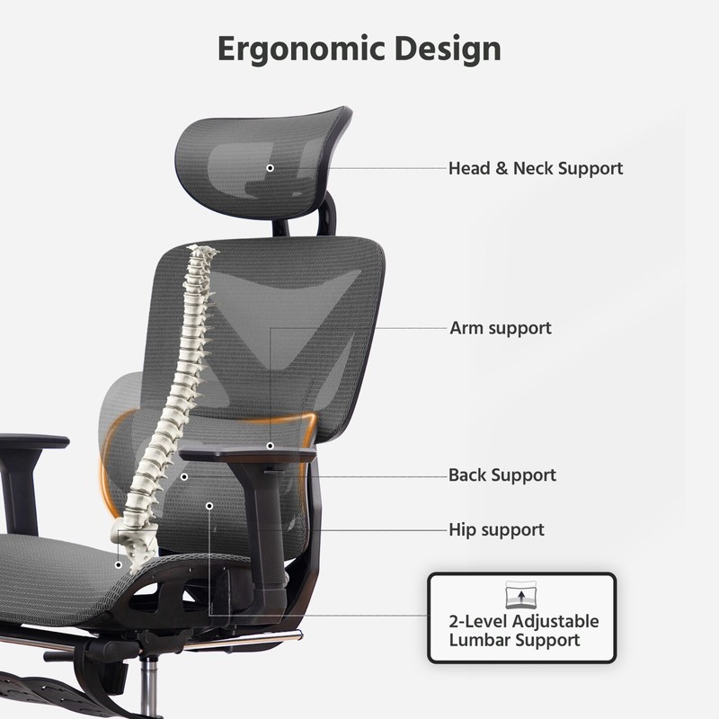 Deluxe Mesh Ergonomic Office Chair with Adjustable Lumbar Support gallery