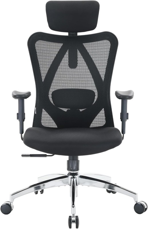 Adjustable High Back Mesh Desk Chair with Lumbar Support, 330lbs Capacity gallery