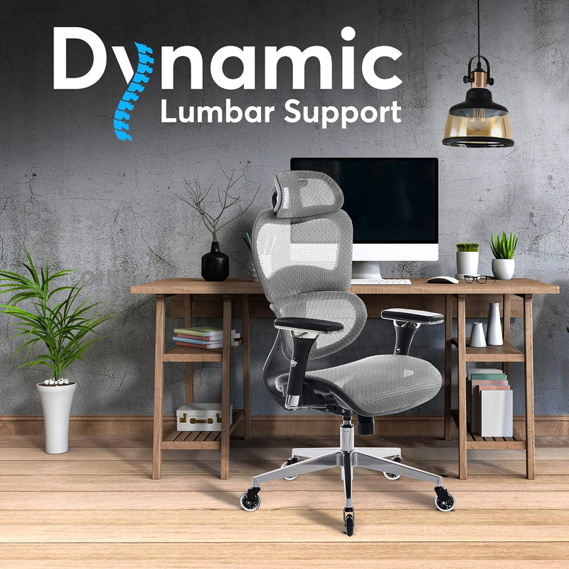Ergopro Ergonomic Office Chair - 4D Armrest & 3D Lumbar Support, Light Gray gallery