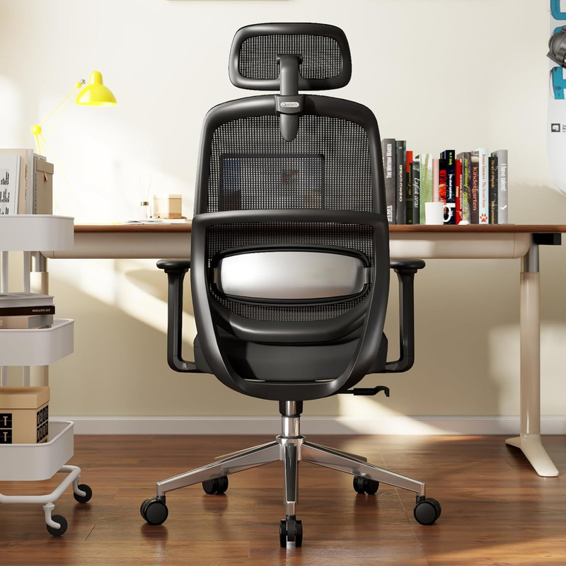 Ergonomic High Back Office Chair with 3D Lumbar Support - Black