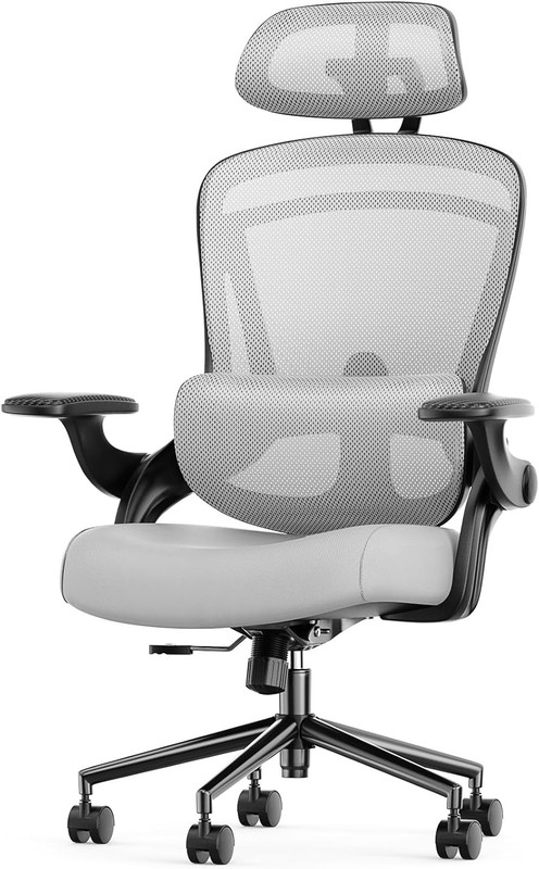 Executive Office Ergonomic Desk Chair, 300 LBS Home Mesh Chairs with Wheels, 2D
