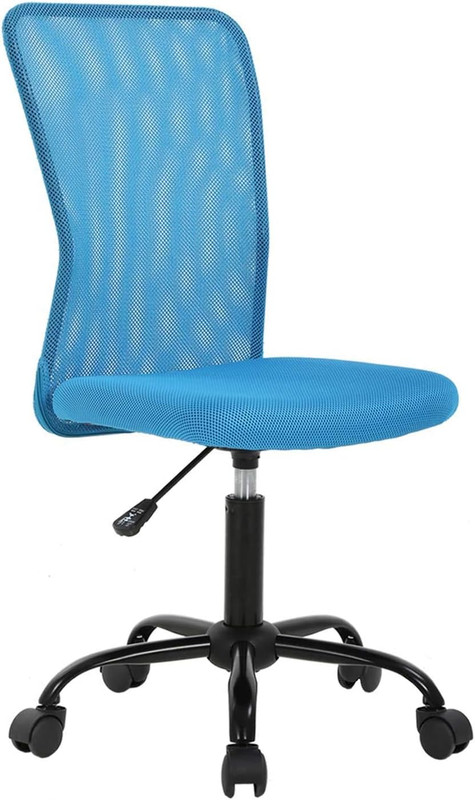 Blue Ergonomic Mesh Office Chair with Lumbar Support - Armless Swivel Design