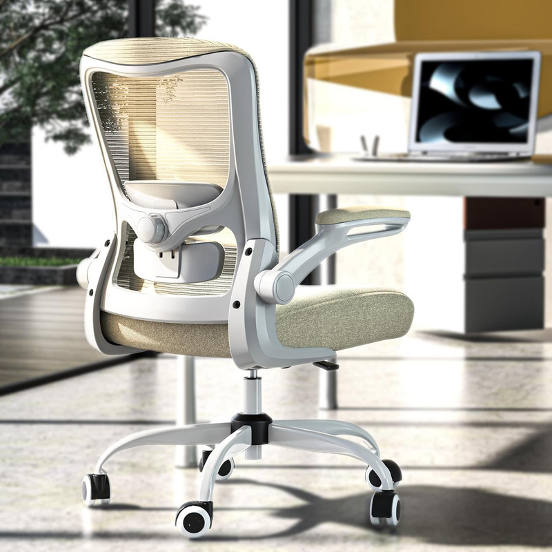 High Back Ergonomic Office Chair with Adjustable Lumbar Support & Mesh Back