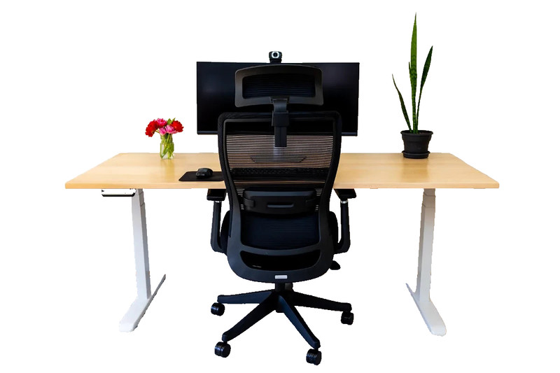 Lofty Elevate Ergonomic Office Chair 9 Adjustable Points Swivel All gallery