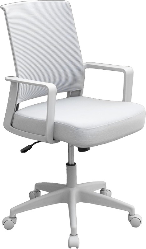 Stylish All Grey Ergonomic Task Chair for Home and Office Use