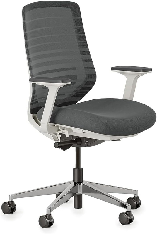 Versatile Ergonomic Desk Chair with Adjustable Lumbar Support and Mesh Backrest