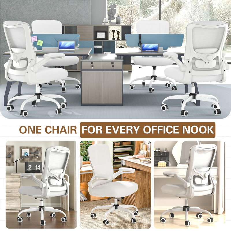 Ergonomic Office Chair - High Back Desk Chair with Adjustable Lumbar Support, Br gallery
