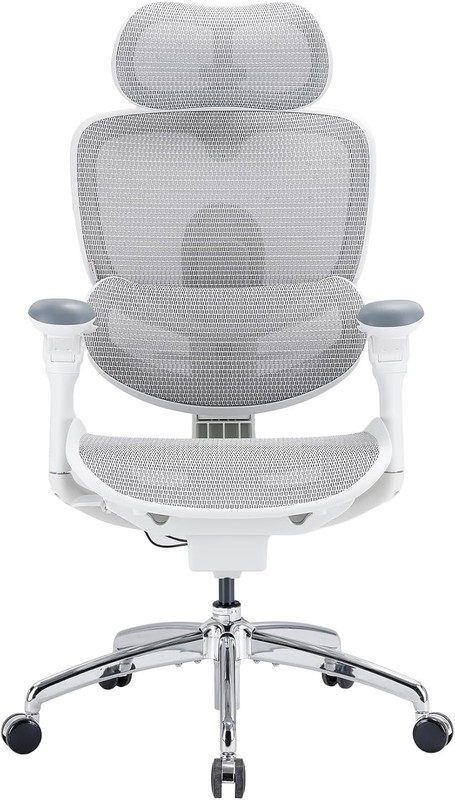 SIHOO Doro C300 Pro V2 Ergonomic Office Chair Without Footrest, Full-Body suport gallery