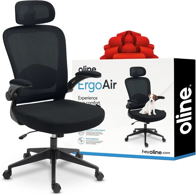 Oline ErgoAir Ergonomic Office Chair Adjustable Lumbar Support Flip-Up Armrests