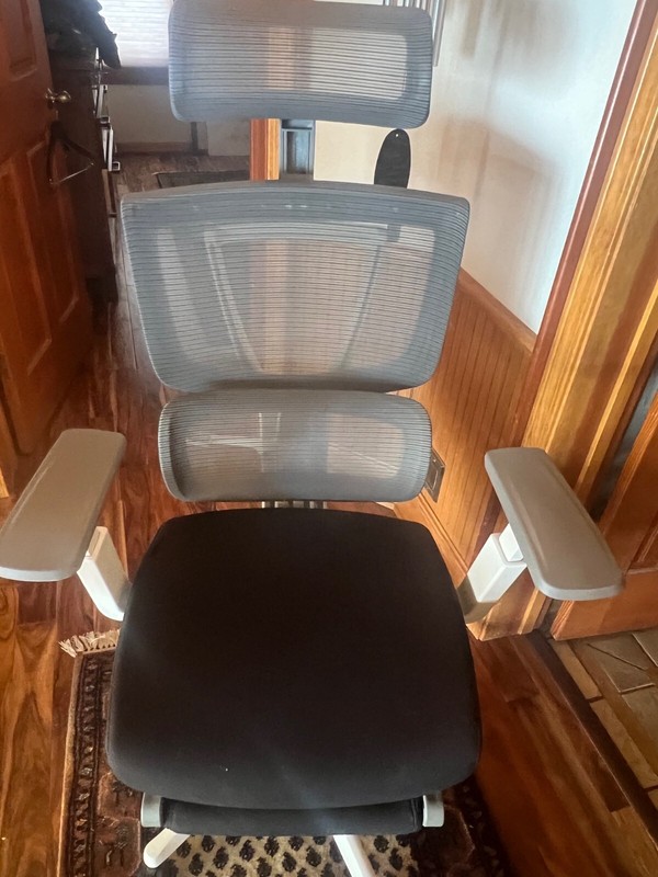 FLEXISPOT Premium Ergonomic Office Chair with Footrest- Adjustable 3D Armrests,