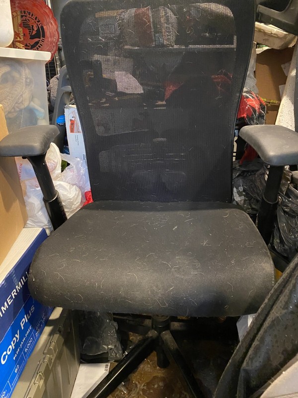 BestOffice Home Office Ergonomic Mesh Desk Chair - Black (OC-MC6270-Black)