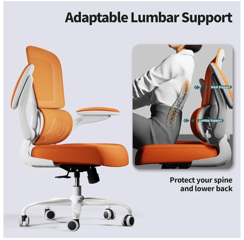 TRALT Ergonomic Mesh Office Chair - 330LBS, Adjustable Lumbar, Lifetime Warranty gallery