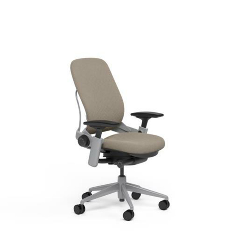 Large Steelcase Leap PLUS Adjustable Chair V2 Buzz2 Sable Fabric 500lb Platinum