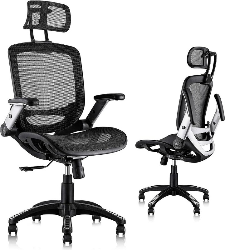 Ergonomic Mesh Office Chair Adjustable Headrest Flip-Up Arms Computer Task Chair