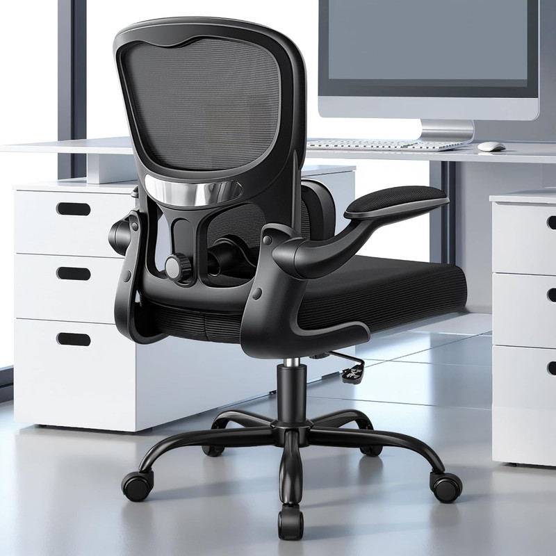 Ergonomic Mesh Office Chair with Lumbar Support & Flip-Up Armrests, 300Lbs