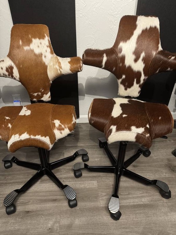 HAG Capisco Adjustable Sit to Stand Desk Chair Hair-on Cowhide Leather Genuine