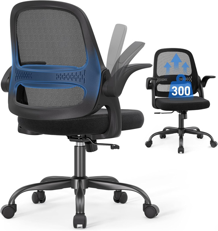 Ergonomic Mesh Office Chair for Home Office, Flip-Up Arms, Breathable Mesh Back