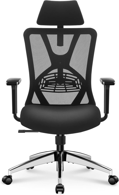 Ergonomic Office Chair with Lumbar Headrest Ticova