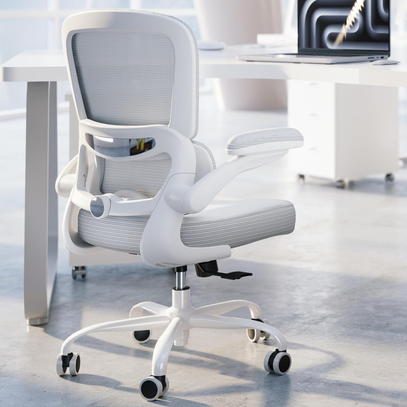 TRALT Ergonomic Office Chair – Desk Chair with Adjustable Lumbar Support Compute