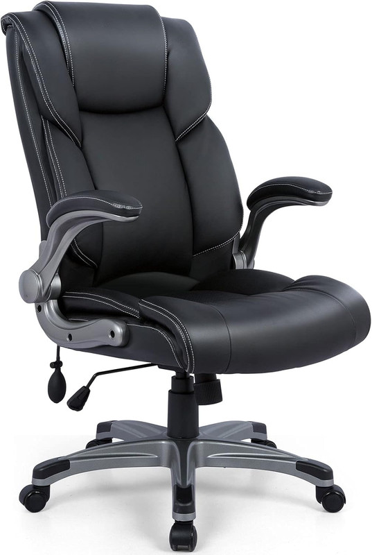 Ergonomic High Back Executive Office Chair with Adjustable Height & Lumbar Suppo