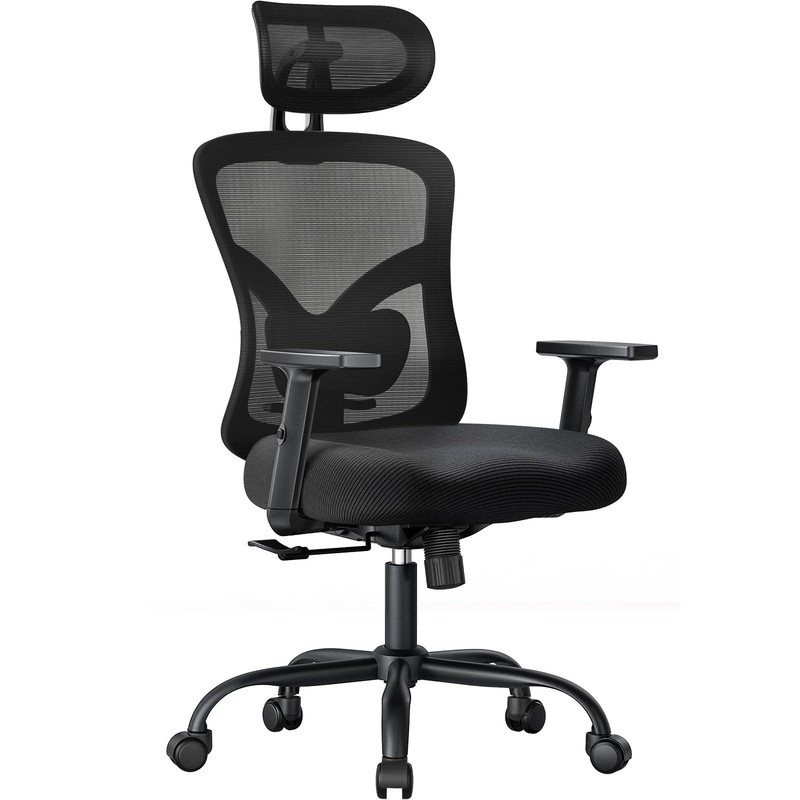 Ergonomic Office Chair with Padded Lumbar Support, 2D Headrest, Adjustable Ar…