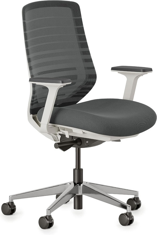 Branch Ergonomic Chair – a Versatile Desk Chair with Adjustable Lumbar Support,