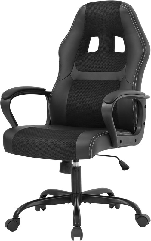PayLessHere Gaming Chair Ergonomic Office Chair Computer Chair with Lumbar Suppo