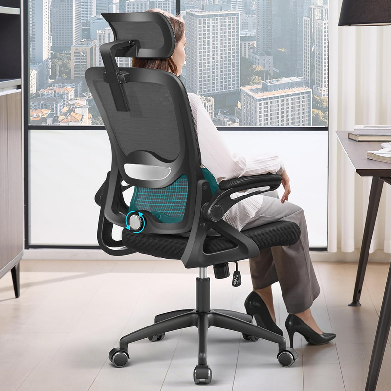 Ergonomic Mesh Office Chair with Lumbar Support & Headrest, 400lbs Capacity