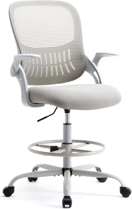 Ergonomic Mesh Swivel Task Chair with Lumbar Support and Footrest, Gray