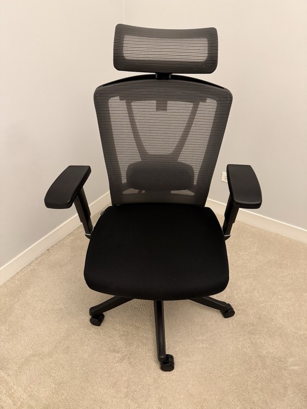 Autonomous ErgoChair Pro Fully Adjustable Ergonomic Office Chair (Mesh/Foam)