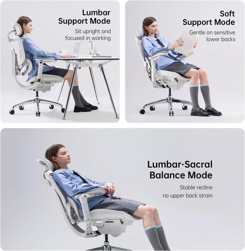 SIHOO Doro C300 Pro V2 Ergonomic Office Chair Without Footrest, Full-Body suport gallery