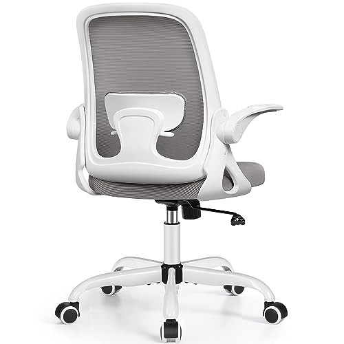 Office Chair Ergonomic Desk Chairs with Lumbar Support and Flip-up Arms Gray gallery