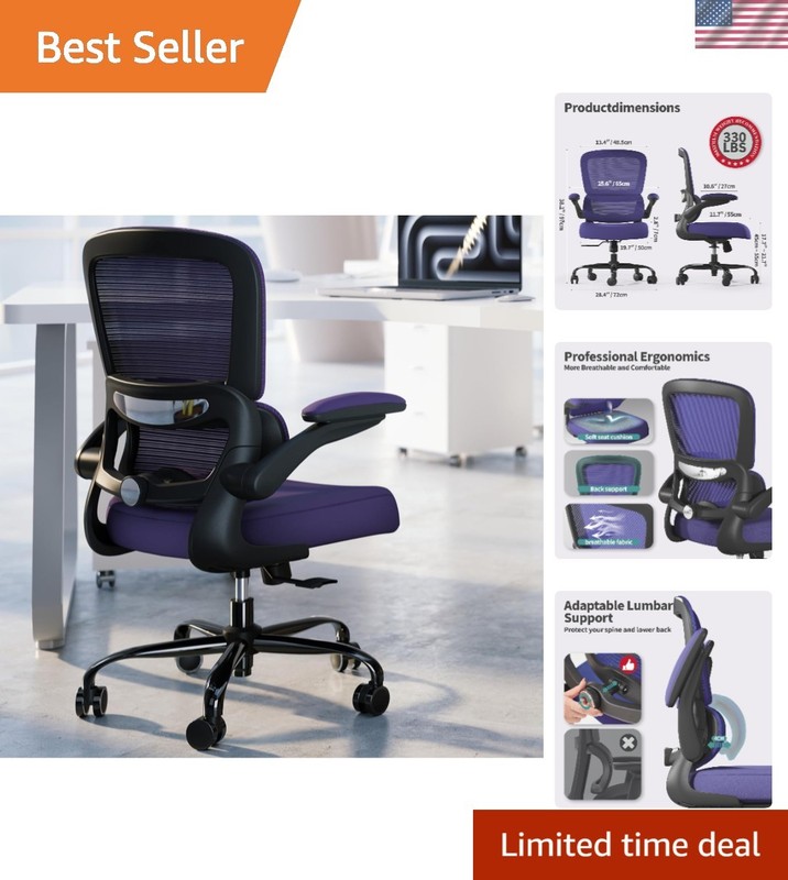 Office Chair – Ergonomic Desk Chair with Adjustable Lumbar Support, Mesh Comp…