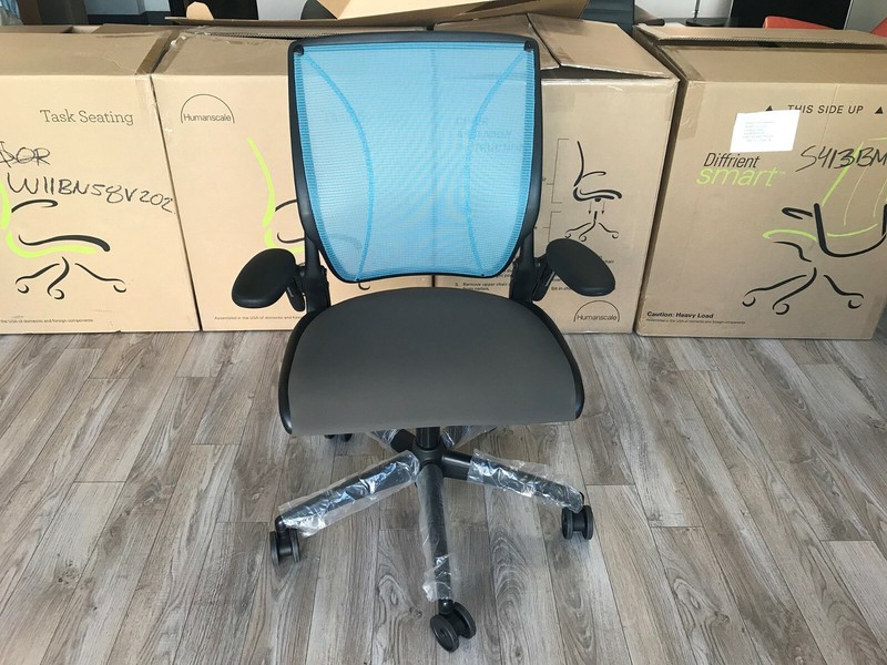 HumanScale Diffrient World Task Chair Adjustable Arms Black Frame Thalo Fabric